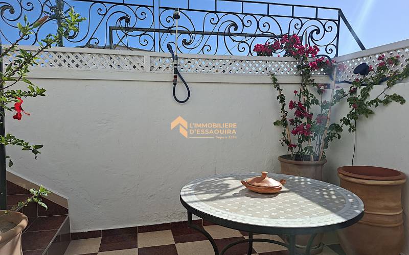 Appartement chaleureux, deux terrasses  (24)